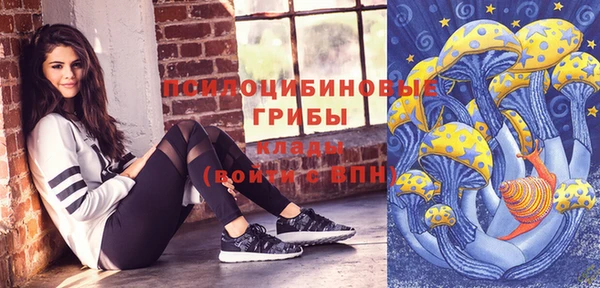 ГАЛЛЮЦИНОГЕННЫЕ ГРИБЫ Абинск