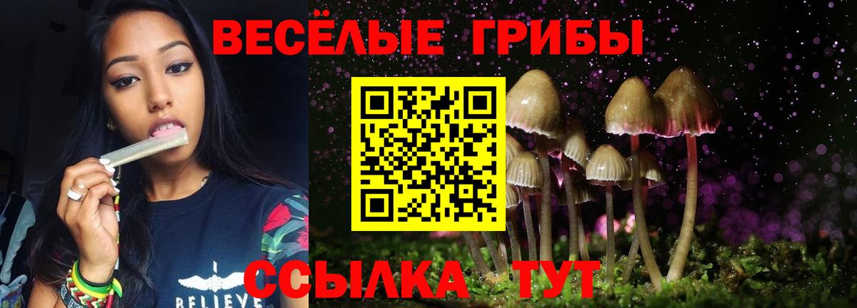 Псилоцибиновые грибы MAGIC MUSHROOMS  Псилоцибиновые грибы мухоморы  Советский  Вход с VPN 