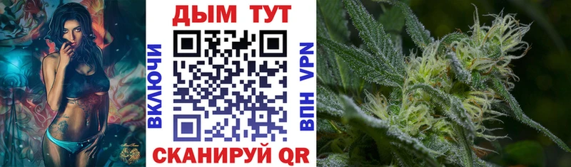 где продают   Советский  Марихуана гибрид 